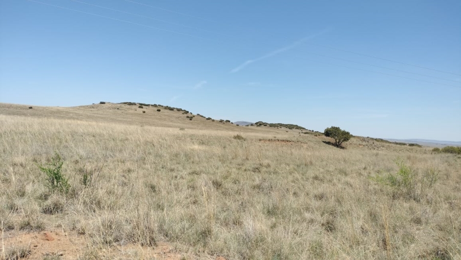  Bedroom Property for Sale in Bloemfontein Rural Free State